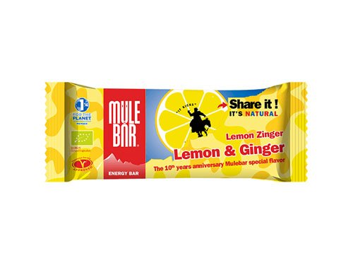 Barre énergétique Lemon Ginger 40g